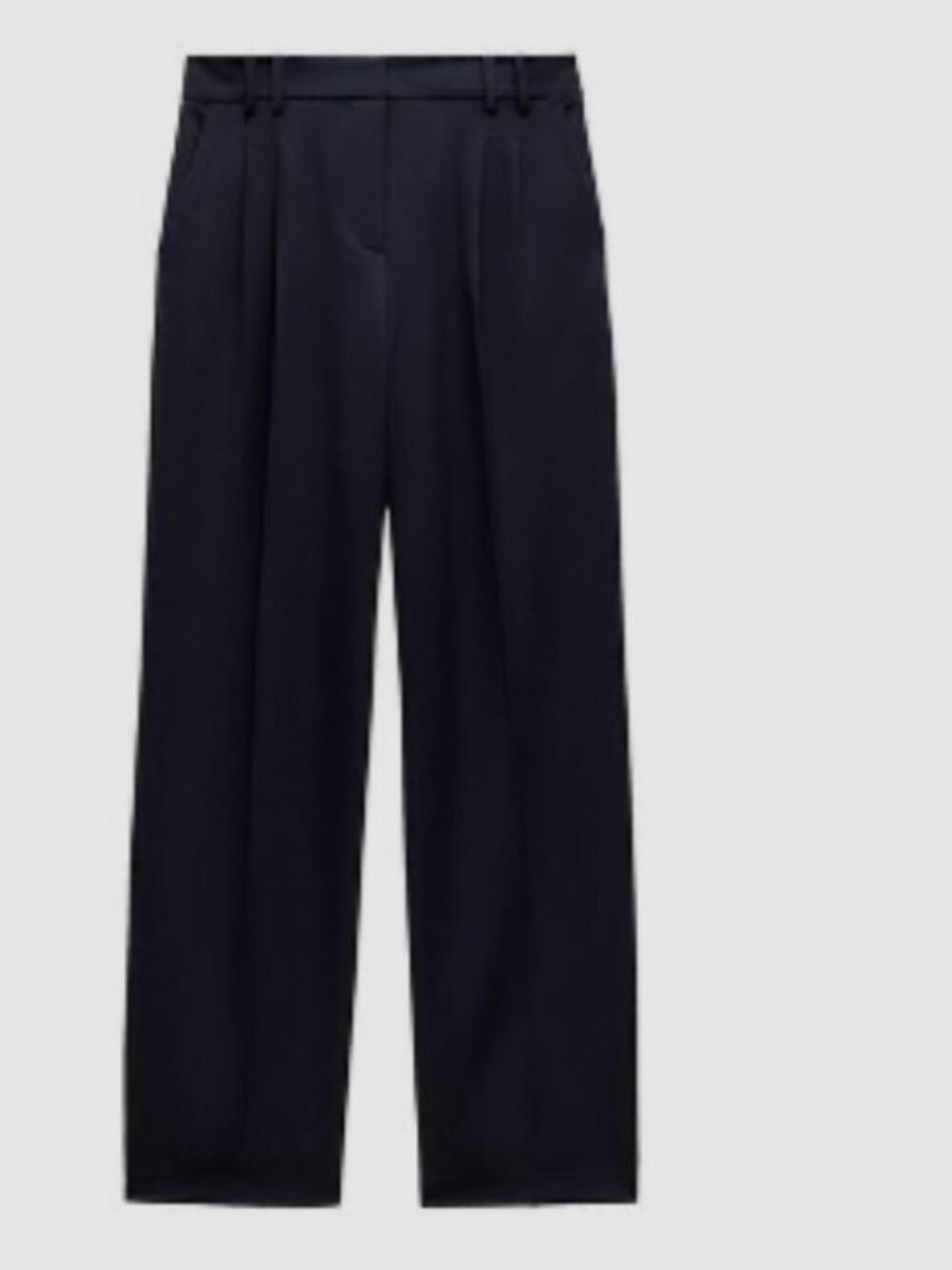 Zara Wide Leg Pants with Darts